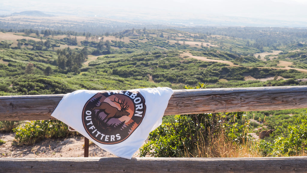 Freeborn Outfitters Sunset Elk Graphic Tee